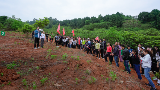 省EMC易倍体育集团开展龙泉山都会森林公园 “包山头”植树运动